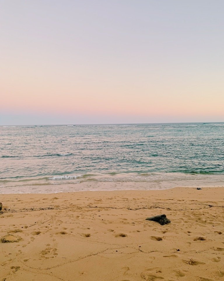 KauaiCoffeeCo's tweet image. Happy Aloha Friday! Take a deep breath, pour a cup of Hawaiian coffee and picture yourself here! (Kauai's eastern shore also known as the Coconut Coast!)