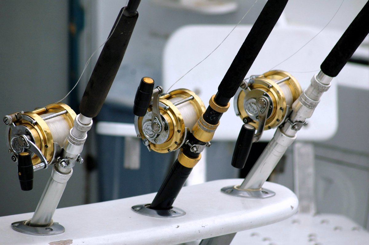 bestfishcare's tweet photo. 🎣🎣One of the Best Fishing Reels 2024 🪝🪝
#fishingreel #fishing #fishingrod #rod #reels #fishhooby #travlefishreels #fishtime #usa #canedafish #usafishing #today #twittergood #twitterwhy #fishinglife #fishthink #newpost #newphoto https://t.co/QDx99Wvq1d