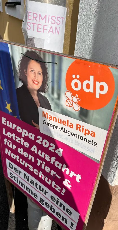 jakkin_'s tweet photo. Liebe @oedp_de und @RipaManuela,

Tierschutz fängt auch im Kleinen an. Muss man denn mit dem Wahlplakat die Vermisstenmeldung einer Katze überkleben? Ich bin mir sicher der kleine Stefan möchte gefunden werden. https://t.co/ZGqHoHjZIr