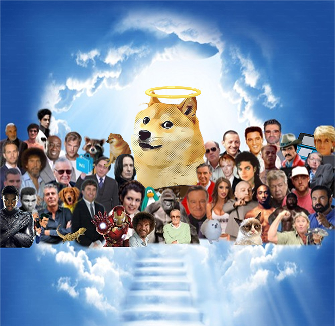 DiReWoLF tweet media