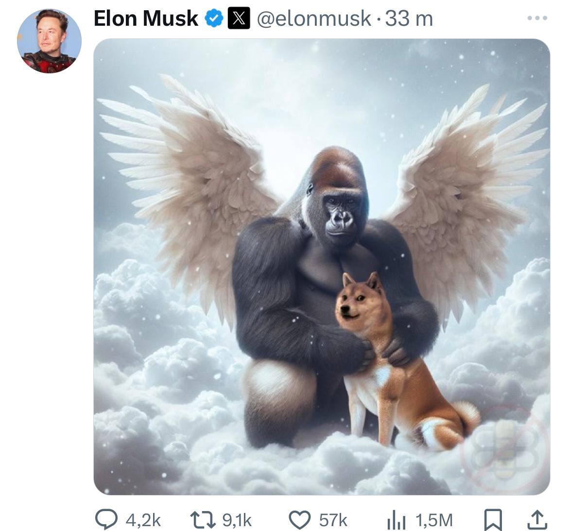 🗞 Elon Musk publie une photo de Kabosu, le chien qui a inspiré le logo de la cryptomonnaie DOGE, qui est décédé aujourd’hui. IA+ ➡️ patreon.com/IA_PLUS VL+ ➡️ t.me/vl_plus