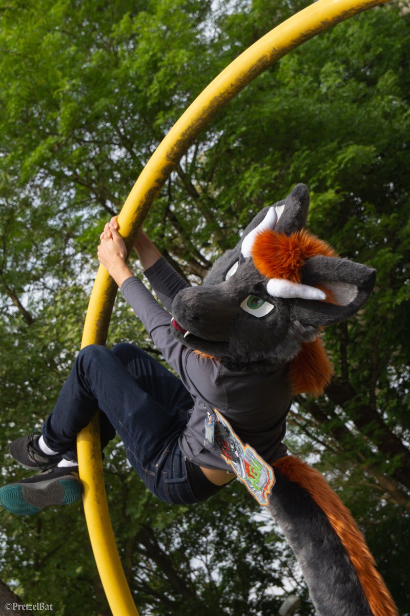 #FurFriday #FursuitFriday Climby boy ^^

📸<a href="/pretzelbat/">pbat</a>
🪡@vino_studios