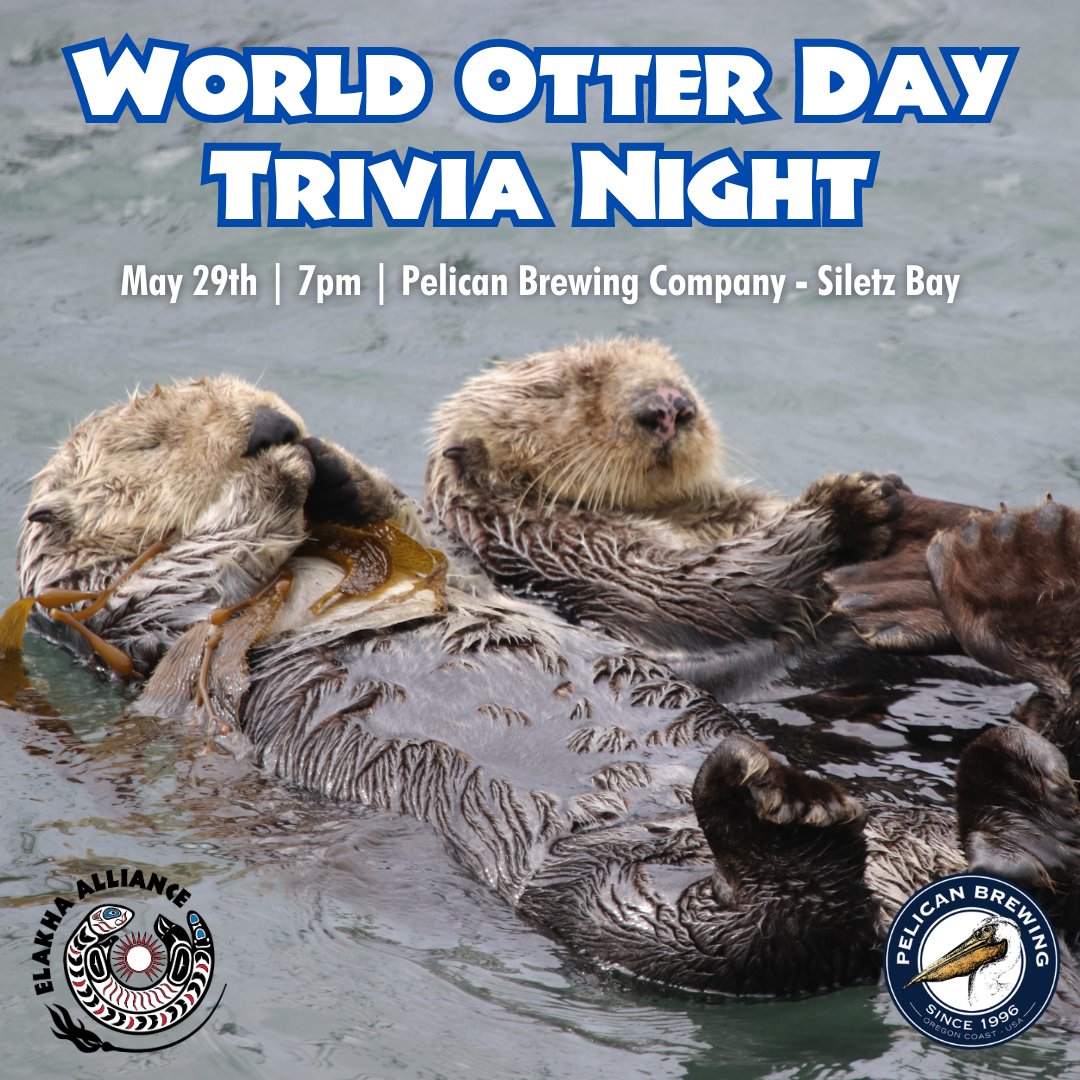 🐾 Gather your trivia enthusiasts and ocean lovers for an unforgettable evening at #PelicanBrewing – Siletz Bay, where we’re celebrating #WorldOtterDay in style on May 29th!

🦦 RSVP: elakhaalliance.org/event/world-ot…

#seaotters #oregoncoast #lincolncity #seaotter #trivia