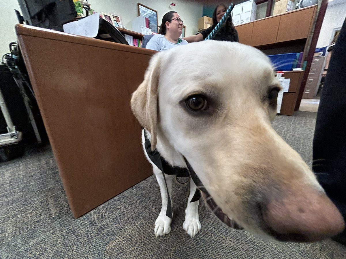 Taco visits Los Ranchos.  Thank you BERNCO Fire And Rescue for being Taco for some emotional support for our students. <a href="/ABQschools/">Albuquerque Public Schools</a> <a href="/BernCounty/">Bernalillo County</a>