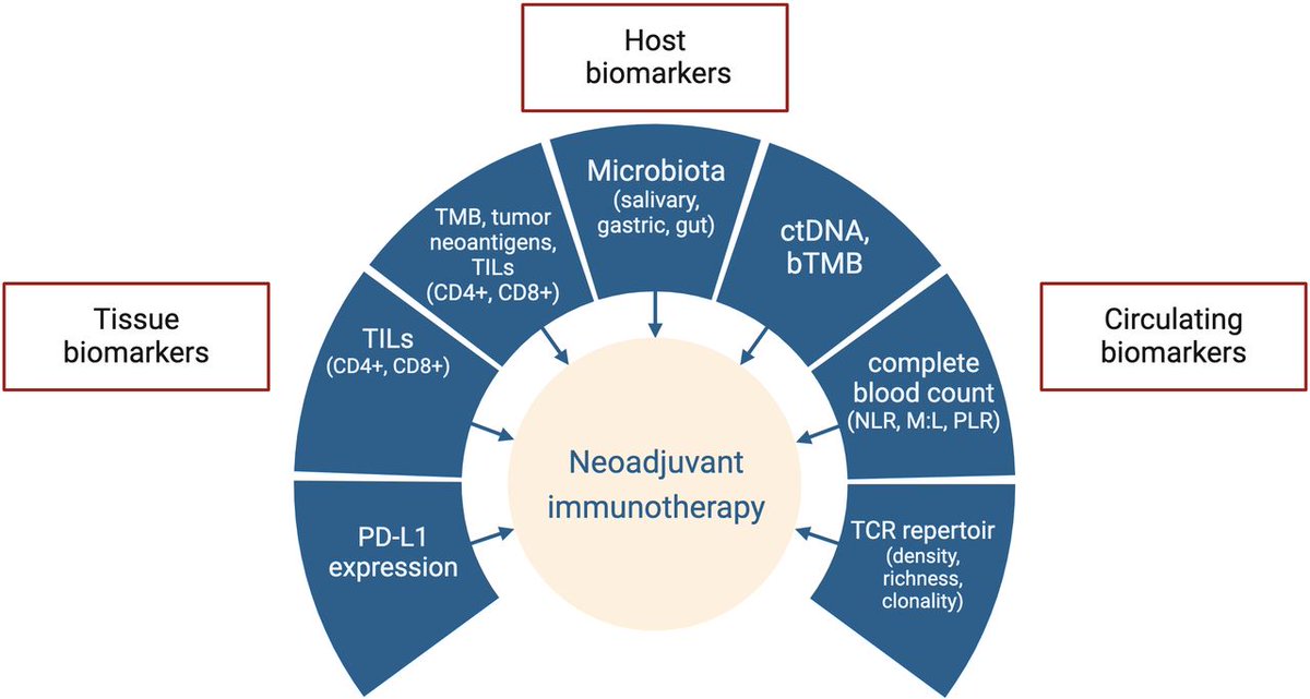 New #JITC review: Immunotherapy in the neoadjuvant treatment of gastrointestinal tumors: is the time ripe? bit.ly/3yuAUU2 @GervasoLorenzo