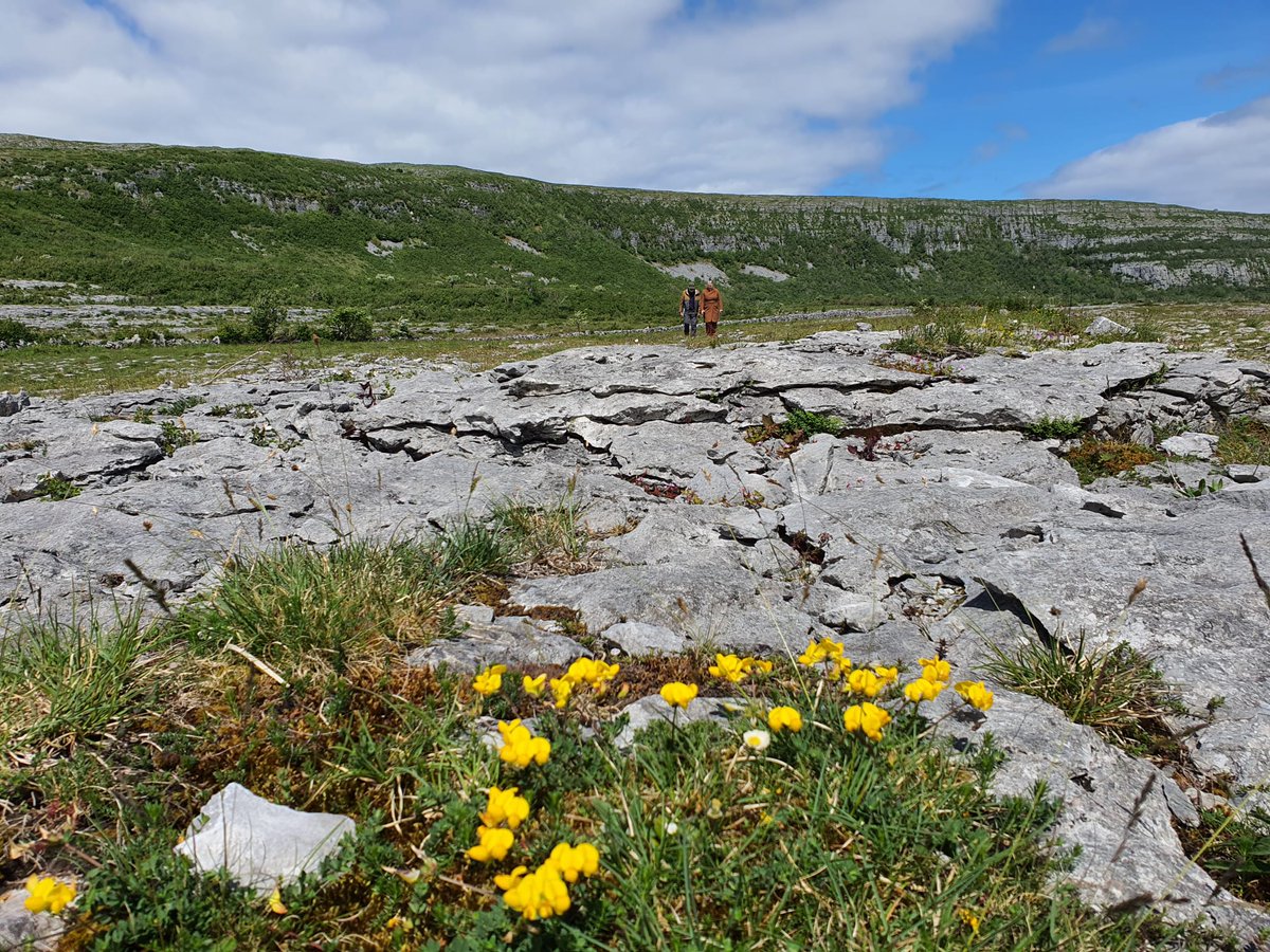 Great day yest 4 #GreatIrishGrasslands! Full launch of #GrasslandsTrai at the incomparable #SlieveCarran #NatureReserve in @BurrenNP, w Minister @noonan_malcolm & local @NPWSIreland staff Also short slot on @morningireland - tnx folks @RTERadio1 rte.ie/radio/radio1/c…