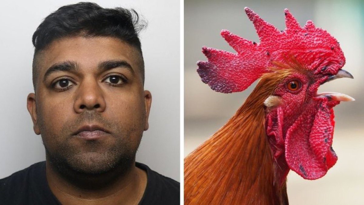 Fake asylum seeker in UK sentenced to 3 years in prison for sexuaIIy abusing chickens.