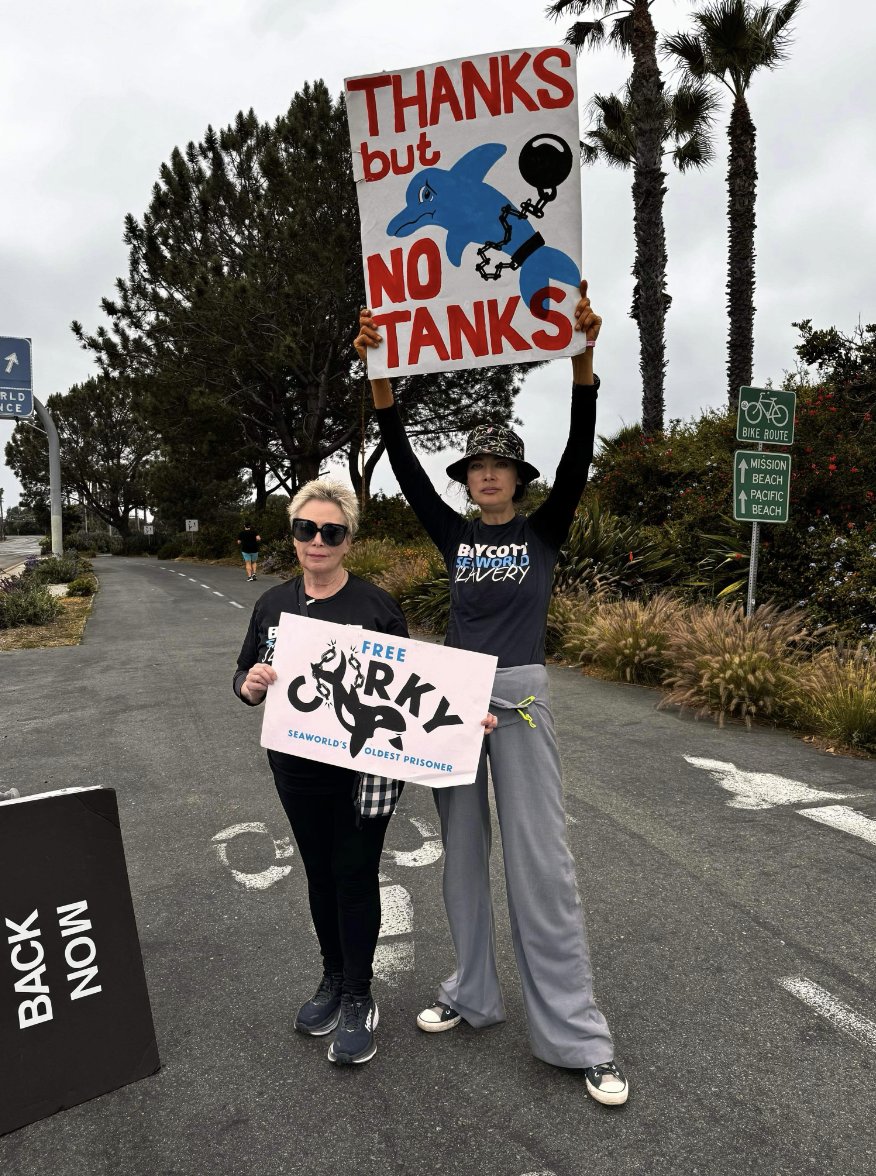 This year's #EmptyTheTanks event had incredible participation. Thank you again to all who showed up! You don't have to wait until next May to get involved- find guidelines for hosting a demonstration, and other global events to join in this year at: bit.ly/DolphinProject…