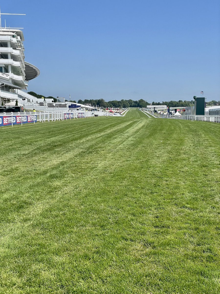 One Week To Go😊 #BetfredDerby 📸 1st June 2023