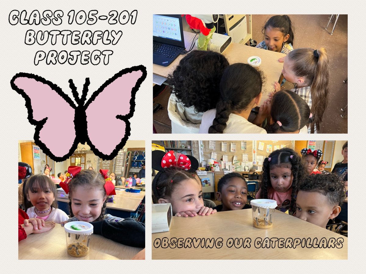 1st grade @ PS 60Q ✨ tweet media