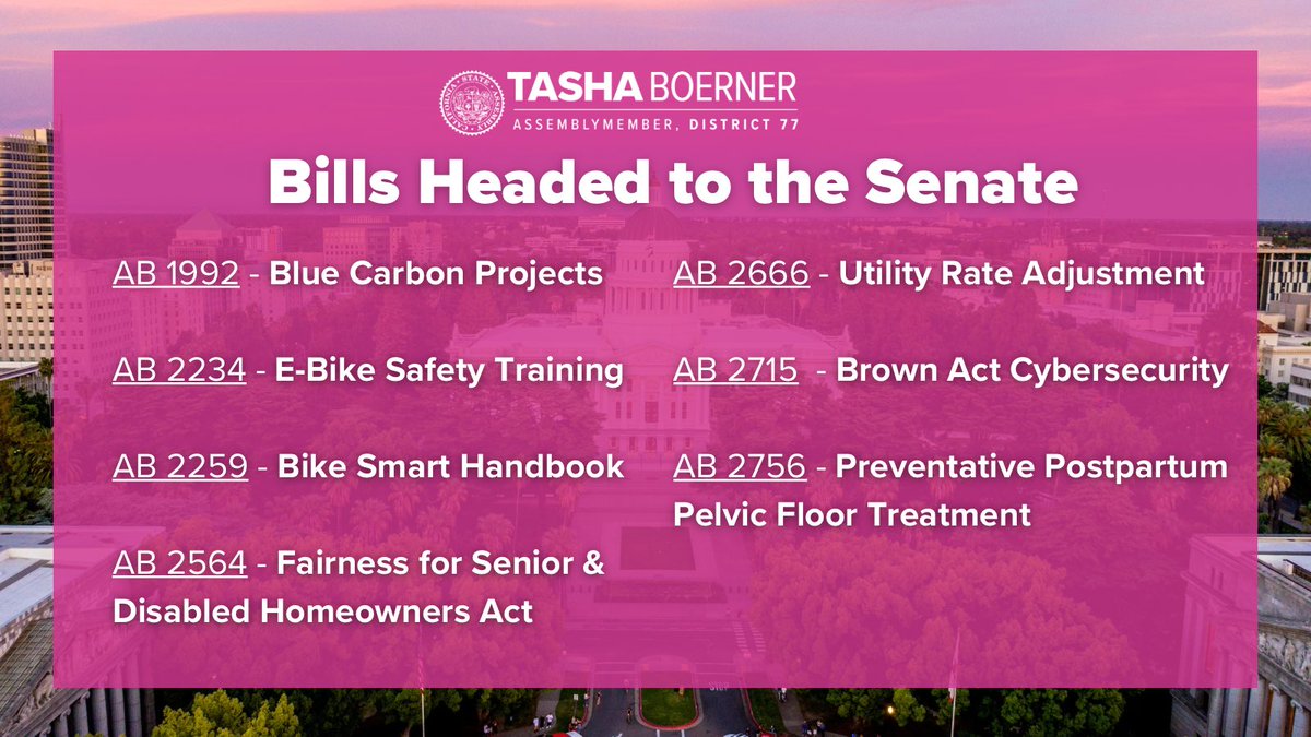These Tasha B. specials are headed to the Senate 🎉
