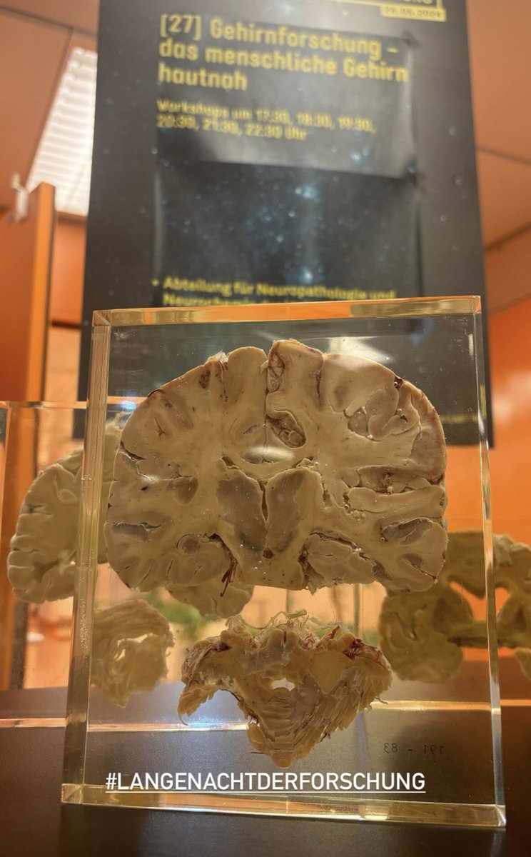 Neuropathology & Neurochemistry MedUniWien tweet media