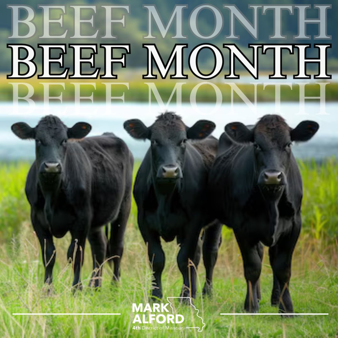 May is #BeefMonth! We're proud to support the hardworking farmers & ranchers that produce nutritious beef across the country. As my colleagues and I in the @HouseAgGOP work to pass a Farm Bill through the House, we will always stand with America's beef cattle industry!