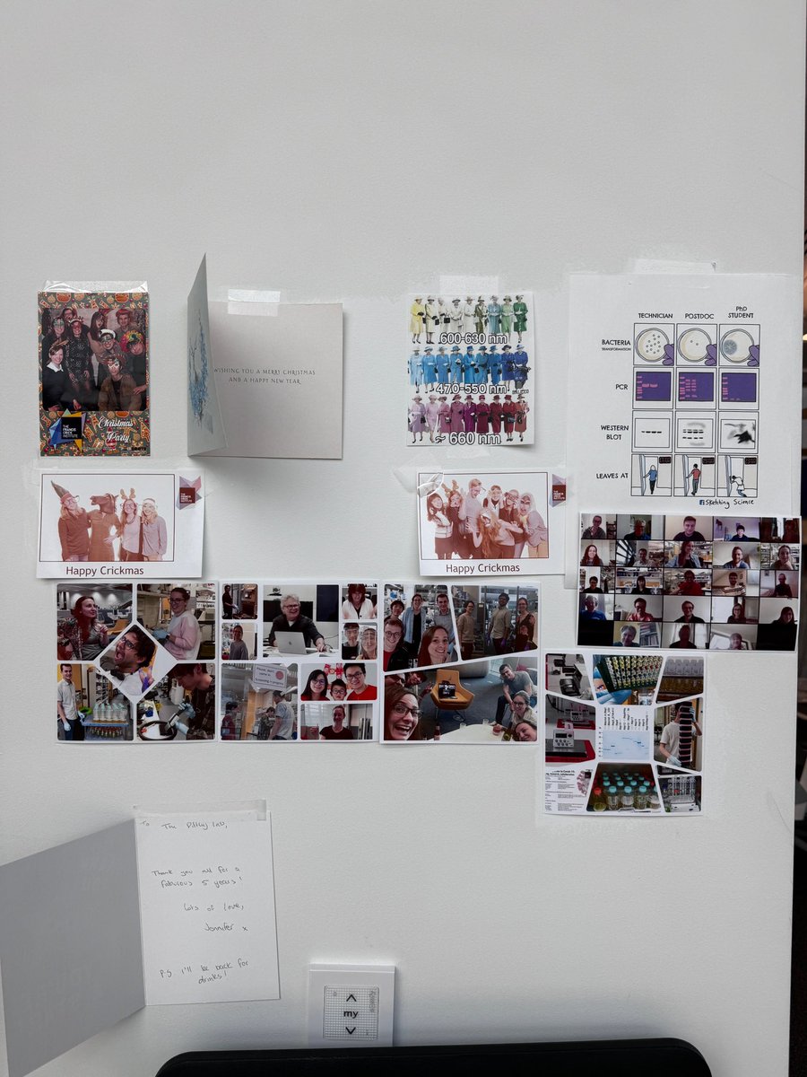 Jingkun Zeng 曾京昆 tweet media