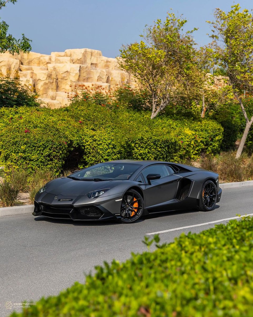 Lamborghini Aventador 50th Anniversary 🦇