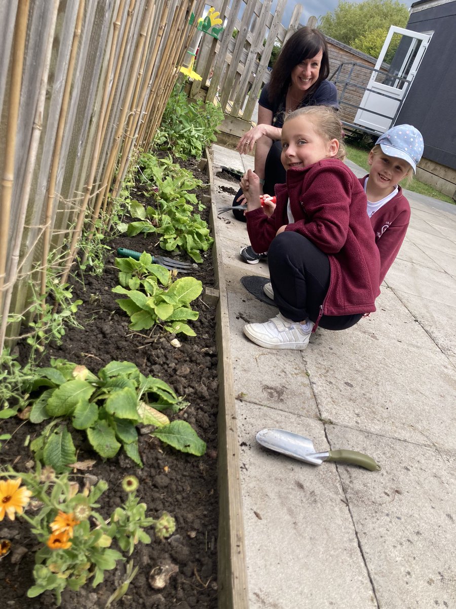 GardenStannes_2's tweet photo. Lunchtime gardening club with our little helpers , finishing off planting and securing our sweet peas 🌸🌺🌹
#wearestannes
@StAnnes_EHS
@RFewStAnnes https://t.co/h6pdDTpKQ5