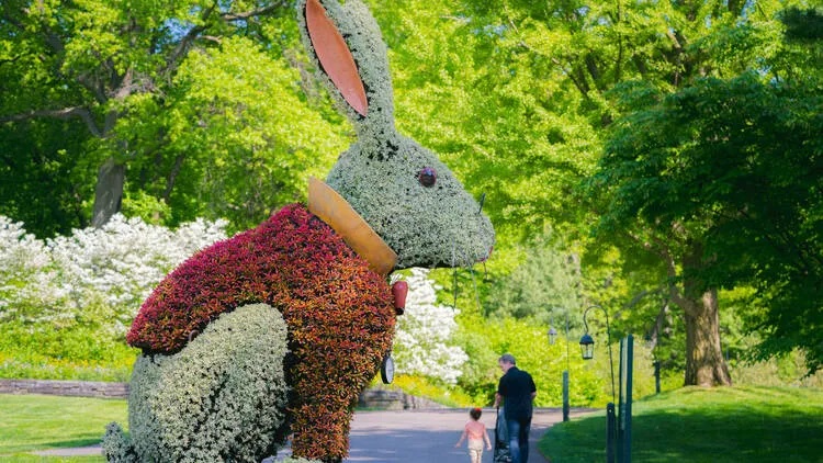 This new New York Botanical Garden exhibit that celebrates the magic of Alice's Adventures in Wonderland. Don't miss this enchanting experience! tinyurl.com/56cxu9x7

#newyorkbotanicalgarden #aliceinwonderland #newyork #newyorklife #mbreny #joanbrothers