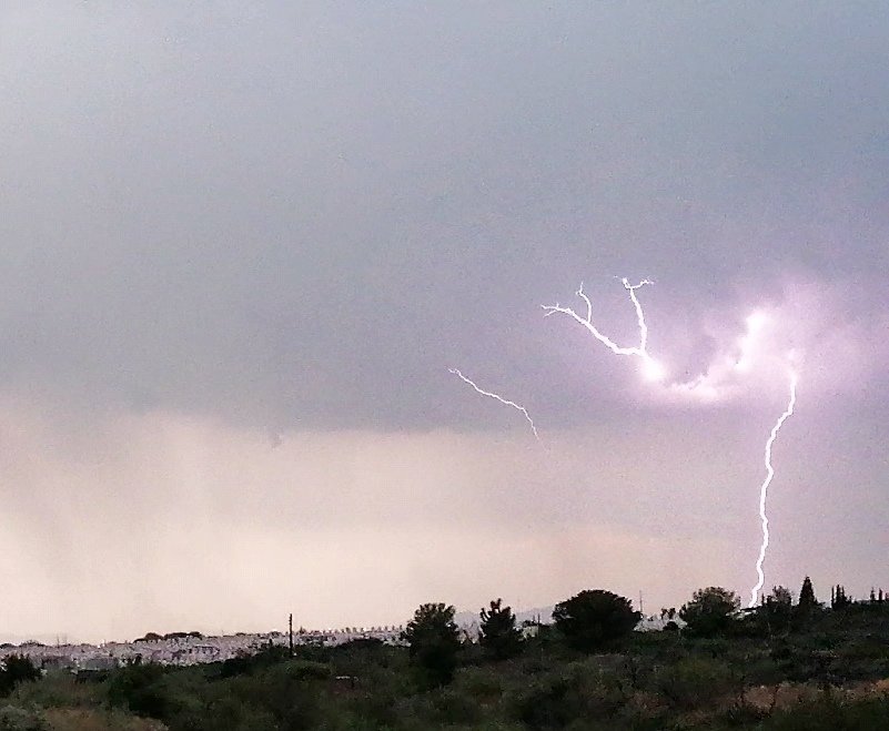 fabperlab's tweet image. 