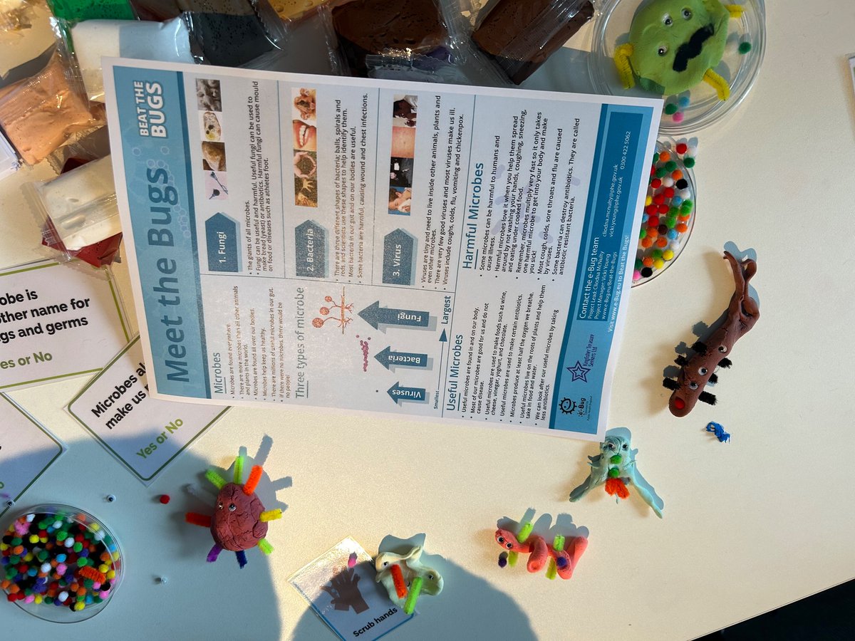 MissRCox's tweet image. Making lots of good and bad microbes at #remakelearning event @DanumGLAM  e-bug.eu/#