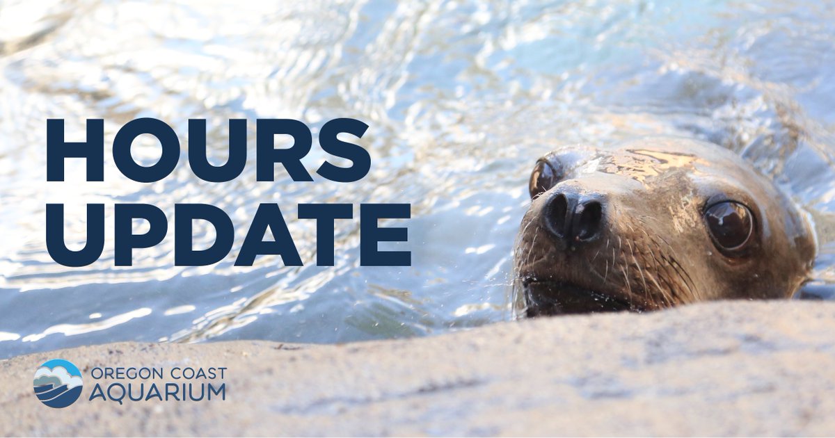 Our summer hours start today! We're now open 10am-6pm daily; plan your visit at aquarium.org 🌊

#summertime #aquariumupdate #openhours #oregoncoast #traveloregon #oregoncoastaquarium