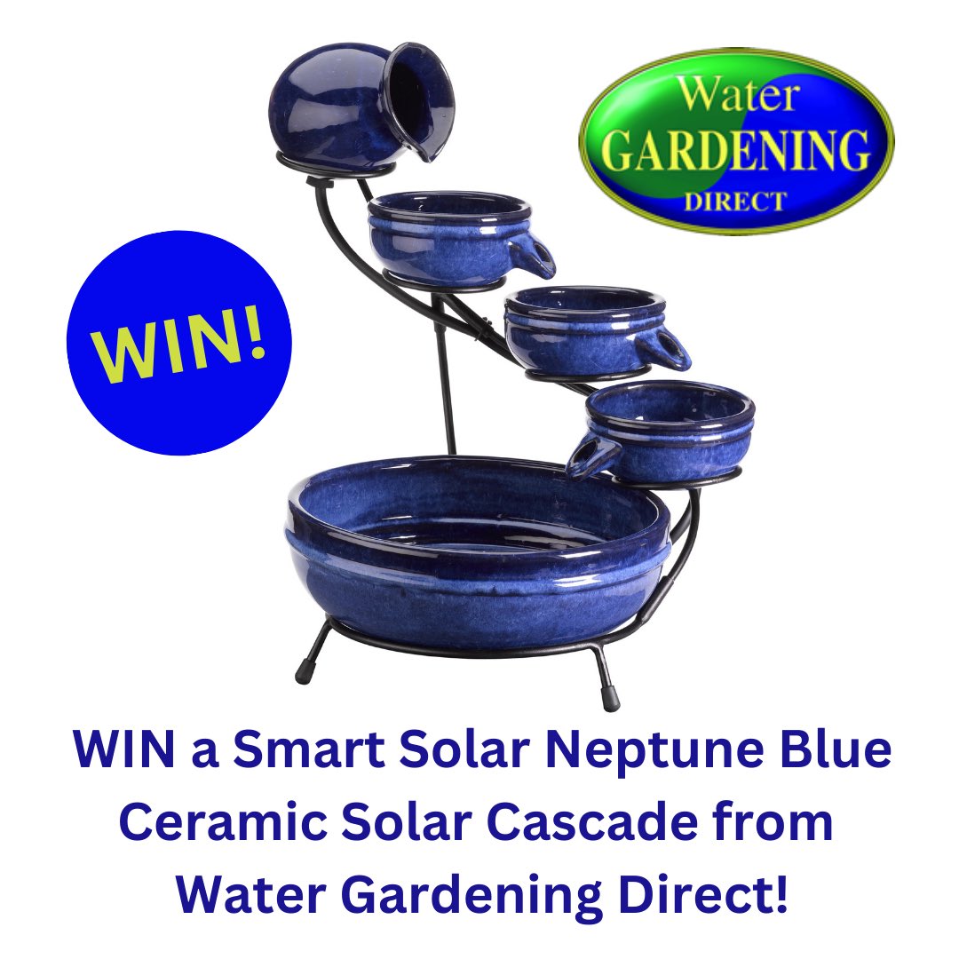 💦NEW COMPETITION!💦

Enter for the chance to WIN a Smart Solar Neptune Blue Ceramic Cascade from Water Gardening Direct!

💦Please follow us and ❤️this post
💦Please RT,  tag and comment with #waterfeature 

💦Enter here on the link:
allotmentonline.co.uk/win-a-smart-so…

#allotmentuk