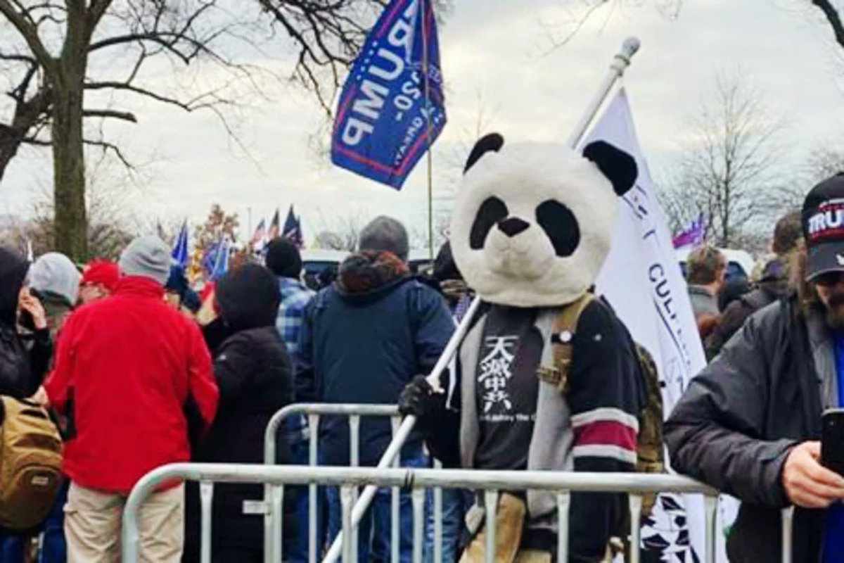 BREAKING: MAGA Jan. 6 rioter Jesse James Rumson dubbed 'Sedition Panda' for the costume head he wore when he stormed the Capitol, has been convicted on each of the eight charges he faced, including assaulting a police officer. Enjoy jail.