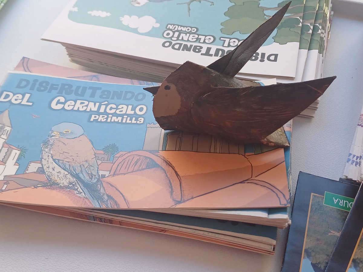 🥾🐦 En marcha las rutas ornitológicas #ZepaUrban del #FestivalDeLasAves de #Cáceres. ¡Y mañana más! ¿Te vienes? 🔗festivaldelasavescaceres.juntaex.es/es/programa