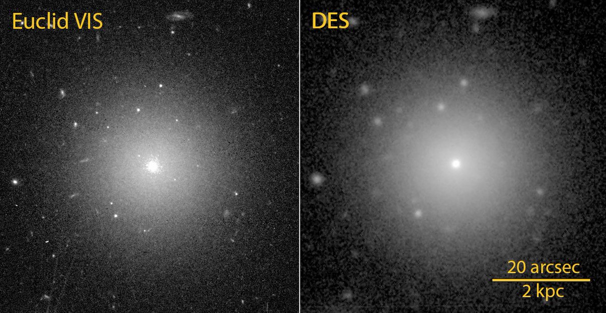 Teymoor Saifollahi (@teymursaif) on Twitter photo In one of the <a href="/ESA_Euclid/">ESA's Euclid mission</a> ERO papers, we (<a href="/EC_Euclid/">Euclid Consortium</a>) searched for globular clusters (GCs) in a field in the Fornax Cluster, focusing mostly on GCs around the dwarf galaxies in this field (the best research topic ever :D) ...
#ArXiv link to paper: arxiv.org/abs/2405.13500 In one of the <a href="/ESA_Euclid/">ESA's Euclid mission</a> ERO papers, we (<a href="/EC_Euclid/">Euclid Consortium</a>) searched for globular clusters (GCs) in a field in the Fornax Cluster, focusing mostly on GCs around the dwarf galaxies in this field (the best research topic ever :D) ...
#ArXiv link to paper: arxiv.org/abs/2405.13500