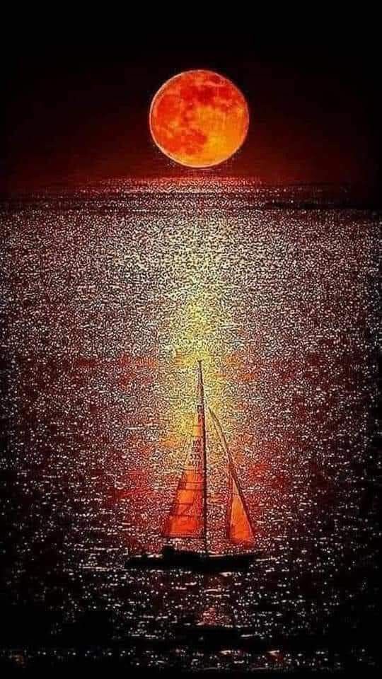 ⛵️🌹 𝟚𝟜₀₅𝟐𝟒 🌒🌹💗⛵️ Las olas rompían con fuerza, en un vaivén sin igual, dejando tras su paso espuma y sal. En cada fragmento blanco un recuerdo vi brillar de tardes junto al mar, donde solíamos soñar. (2/6) *Noah Johnson