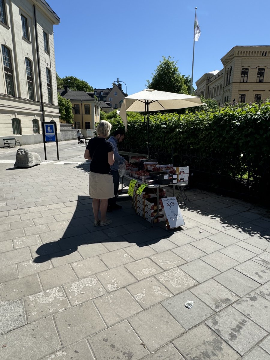 Bästa Jordgubbarna i Sverige ! Och hövligt pris