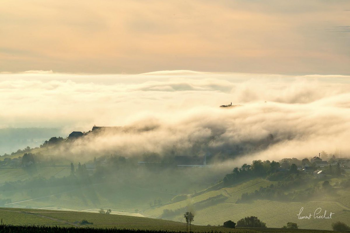 AssoMeteoCVDL's tweet photo. [Ambiance brumeuse dans le Cher ce vendredi]

Magnifique 😍 mer de nuages ☁️ observée dans le #Sancerrois (@departement_18), ce vendredi 24 mai 2024 matin.

Photo : Laurent Crochet pour l’@AssoMeteoCentre. https://t.co/kyBkQndyEi