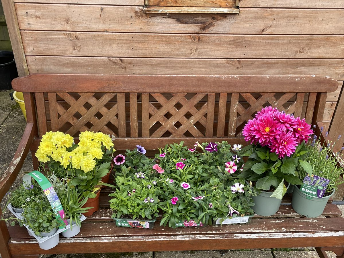 Thank you <a href="/BandQ/">B&Q</a>  Aylesbury for donating us some plants for our memorial garden today