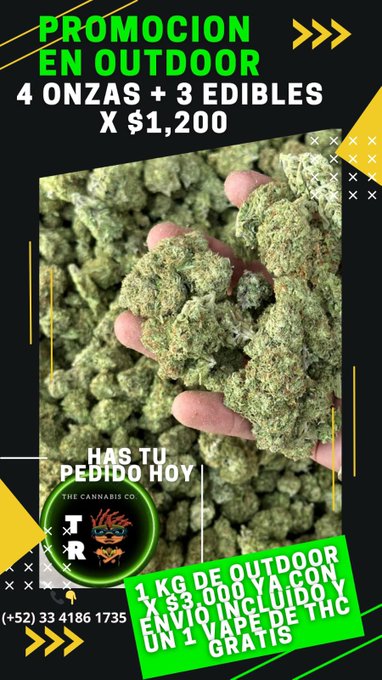 @Tomyyrocket tienen super promo de la buena https://t.co/wQmtCCT8qK<a class="tags" target="_blank" title="On Twitter" href="/?out=eyJ0eXAiOiJKV1QiLCJhbGciOiJIUzUxMiJ9.eyJpYXQiOjE3MjA0OTIxNjAsImlzcyI6InR3cG9ybnN0YXJzLmNvbSIsIm5iZiI6MTcyMDQ5MjE2MCwiZXhwIjoxNzUyMDI4MTYwLCJyZWRpcmVjdF91cmwiOiJodHRwczovL3R3aXR0ZXIuY29tL1RvbXl5cm9ja2V0In0.gLfBXcQWH1Lt9bK92ZHMJOkIkFzHo-JzqN7bm6gC-MMecgtR9pogxgk6FcknHSx1fdAipTEtKLPngAeVyheojw">@Tomyyrocket</a><a href="/tag/promo"class="tags"><span>#promo</span></a>