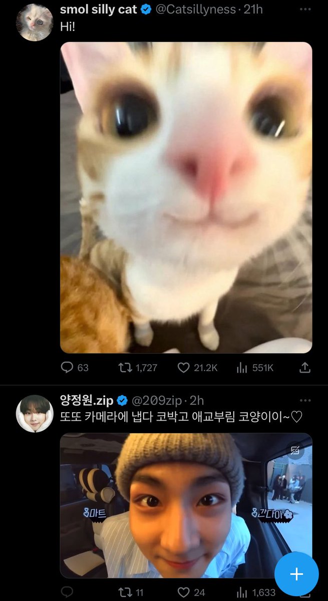 Even my tl is catwoning