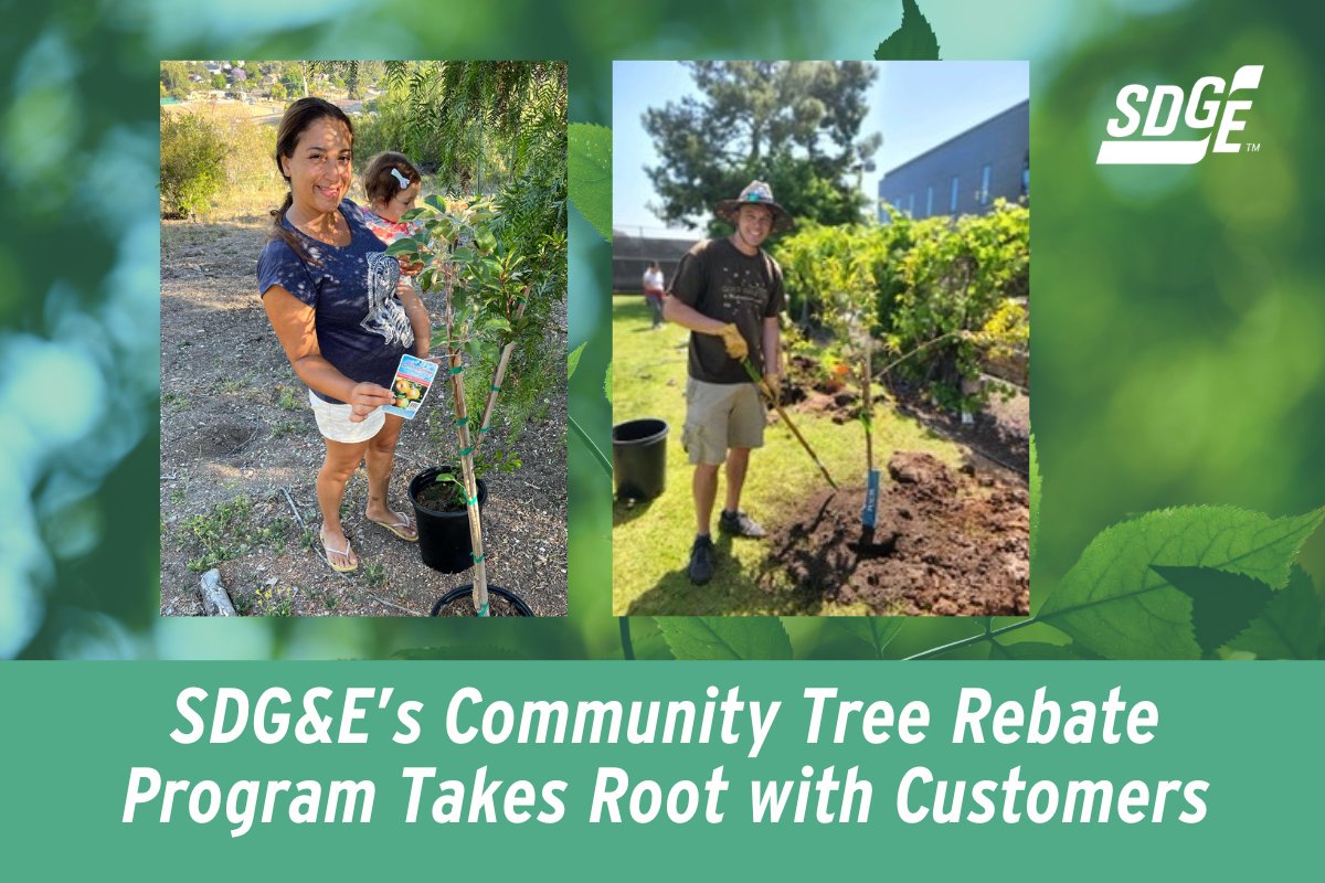 Water Conservation Garden tweet media