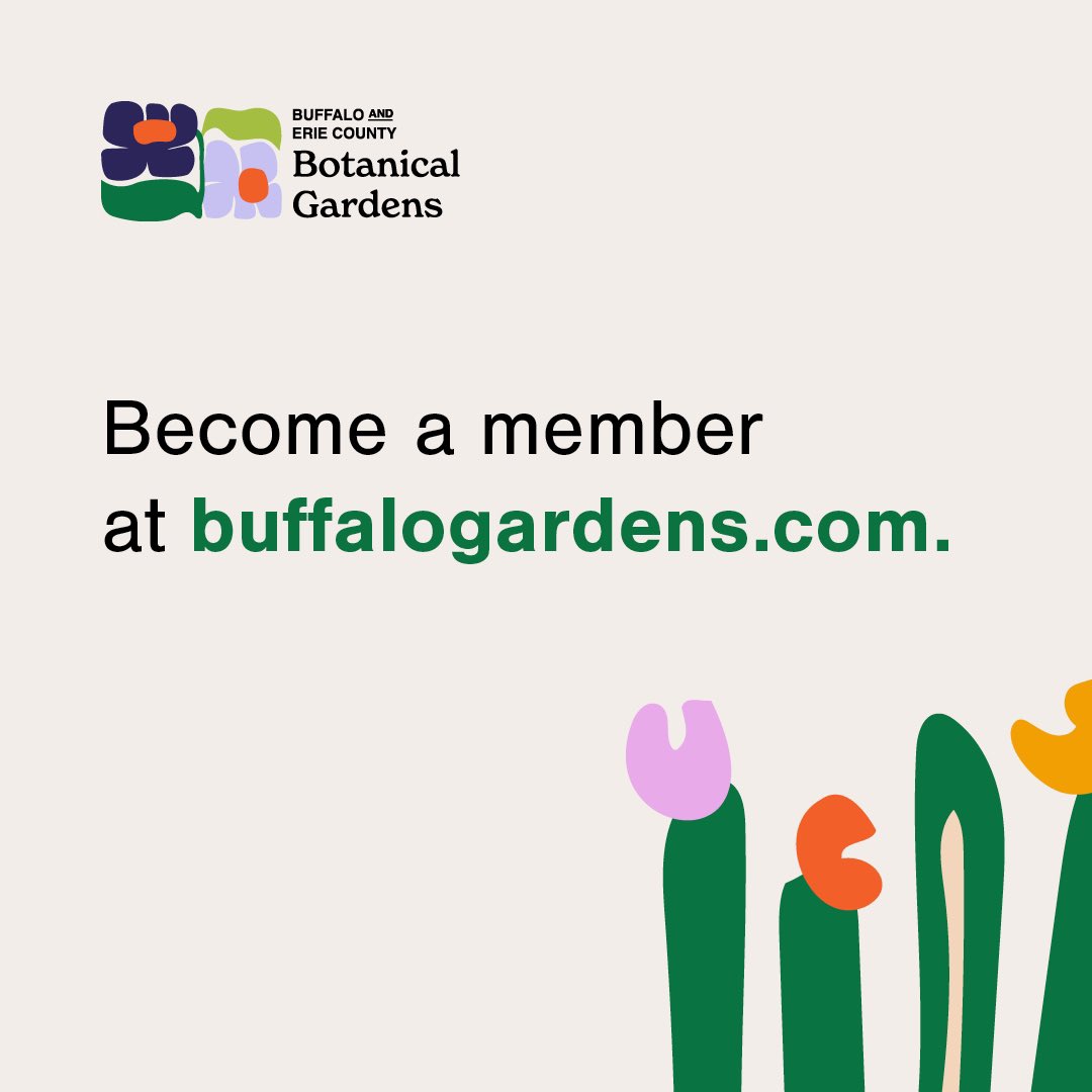 Plants and people are our thing. 🌱 Swipe to see how our new mission and vision statements reflect that. 

Join us in our journey and plan your visit today. 

Follow along on our socials as our transformation continues!