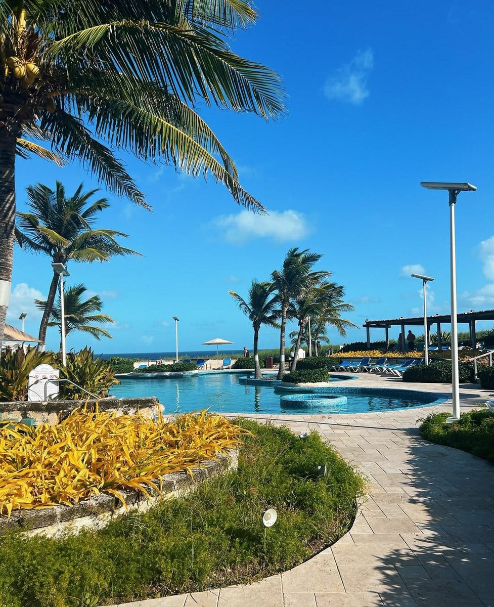 CraneBarbados's tweet photo. Weekend loading... ⏳ #CraneBarbados

📷: @wildoyle https://t.co/AEClTNzZqN