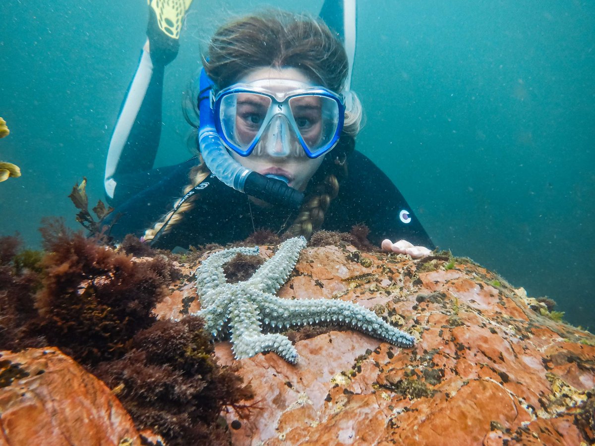 Only two weeks until our #SnorkelSafaris start up again for the Summer! 🤿 Join our amazing team of Ocean Conservationists at multiple locations around the National Marine Park! Get involved!👇 bit.ly/3wHDq8T