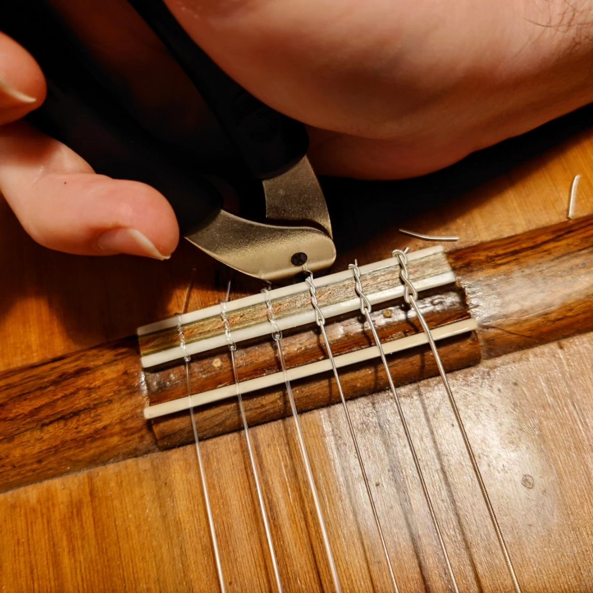 DMitchell_Music's tweet photo. Anyone else got that new strings feeling? A break before lots of gigs so getting my classical guitar strings on now as it can take a while for them to settle in tune! Enjoying the refreshed sound they bring!
#newstrings #savarez #classicalguitar #folkguitar #savarezstrings https://t.co/QXdVT3hU2z