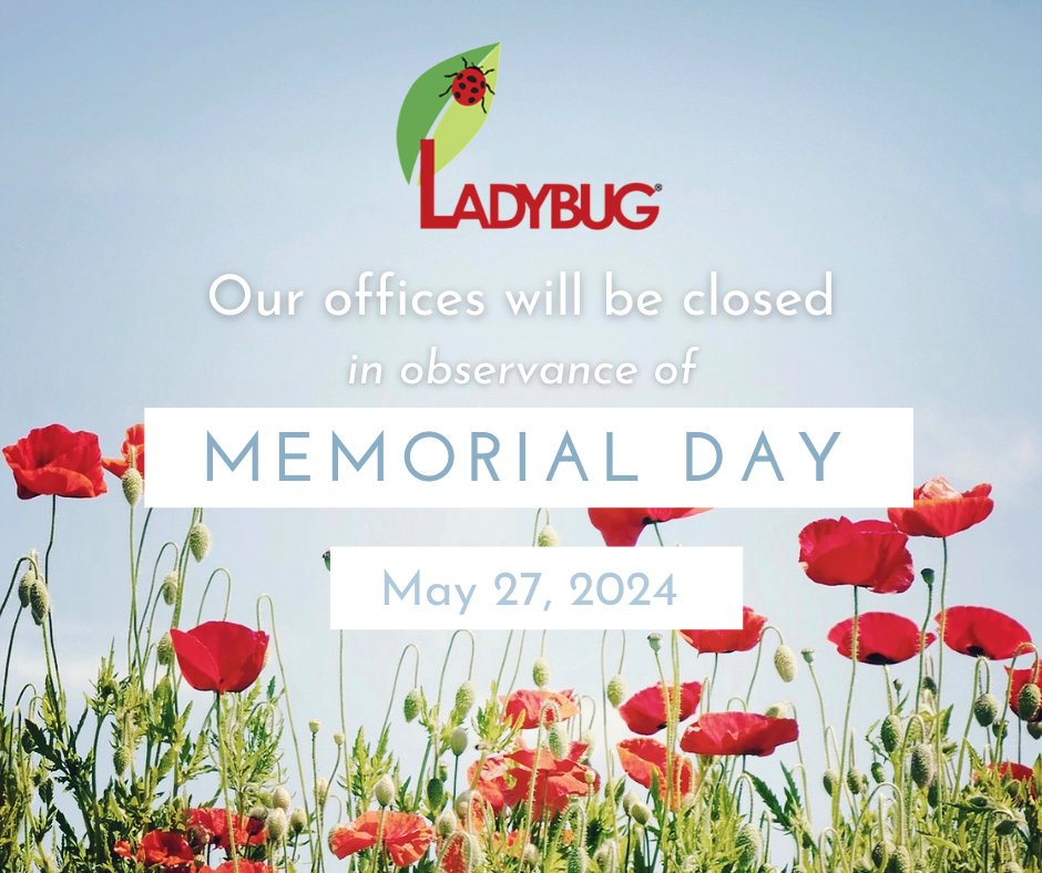 LadybugQuincy's tweet image. We will be closed this coming Monday in observance of Memorial Day.  Have a great holiday weekend!

#LBPCS #womanownedbusiness #quincypestcontrol #MemorialDay
