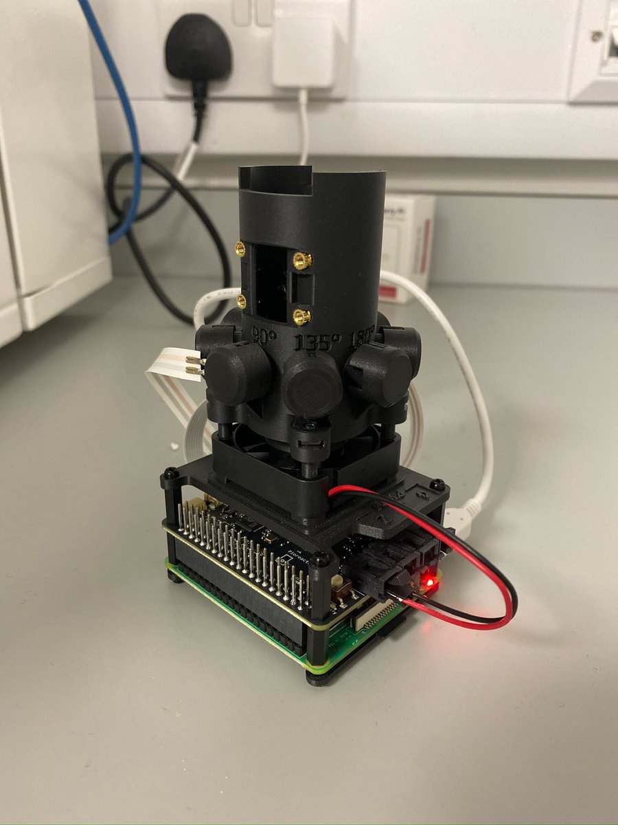 Carolina Grandellis tweet media