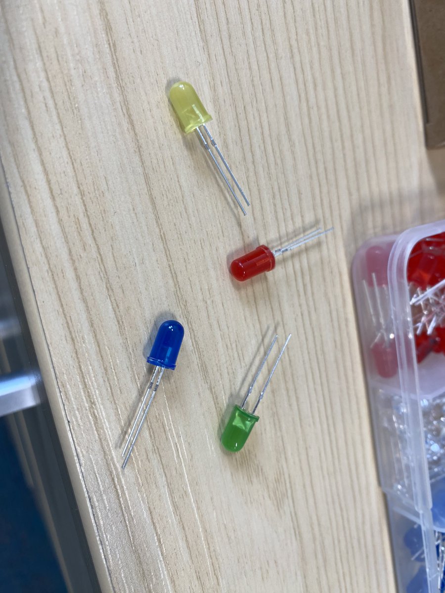 Carolina Grandellis tweet media