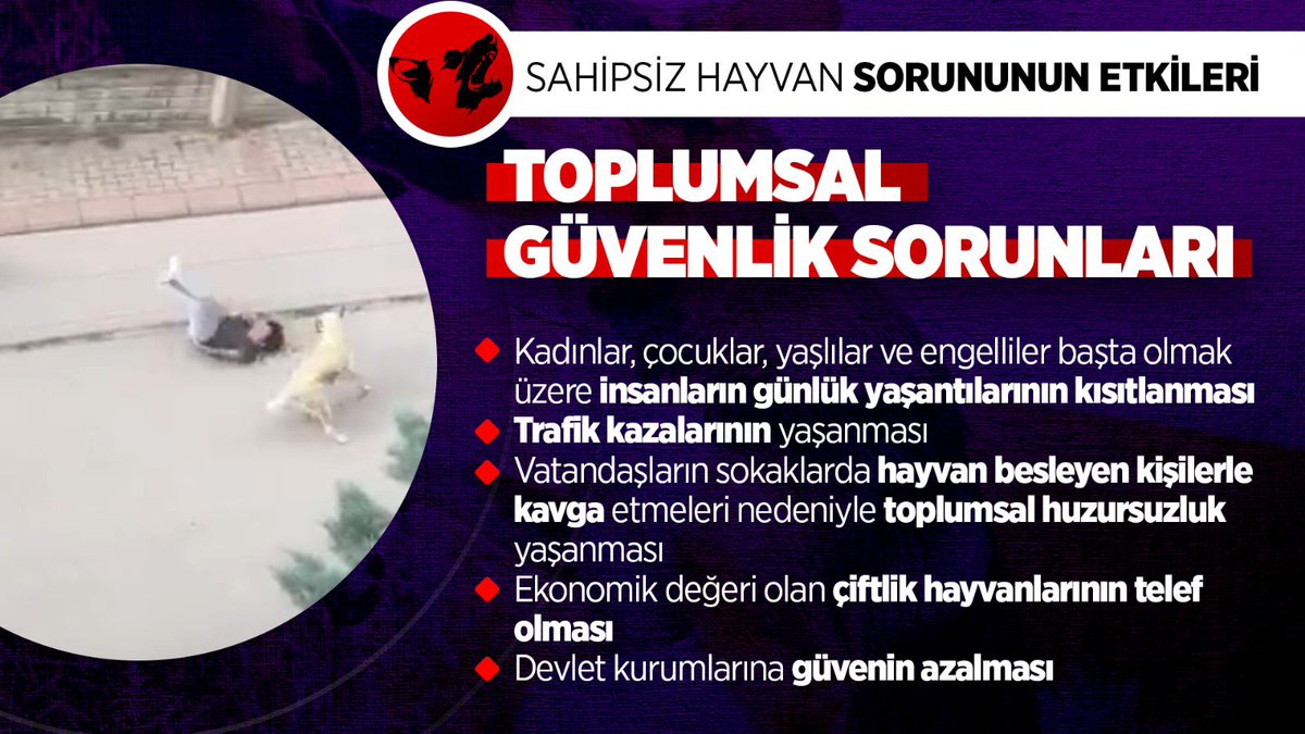 Sahipsiz sokak hayvanları, insanların günlük yaşamlarını kısıtlaması ve trafik kazalarına sebep olması gibi sebeplerle toplumsal güvenlik sorunudur. Sokak Köpekleri Toplatılsın