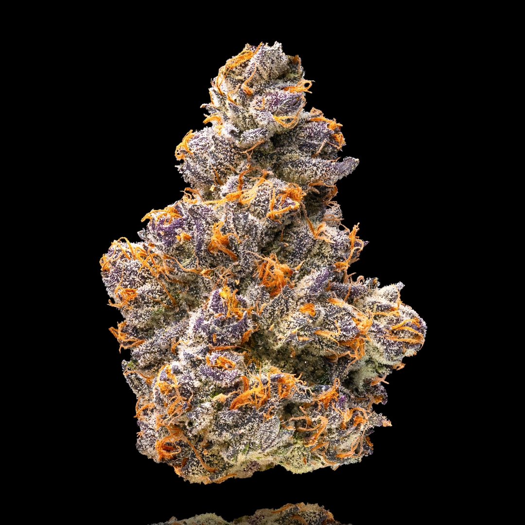 MavenGenetics's tweet photo. Introducing the newest gem to our collection, a rare Orange Bellini Γ Blue Lotus cross, the award-winning Sativa Orange Sapphire ππβ¨οΈ #MavenGenetics https://t.co/4wyuAqqEu8