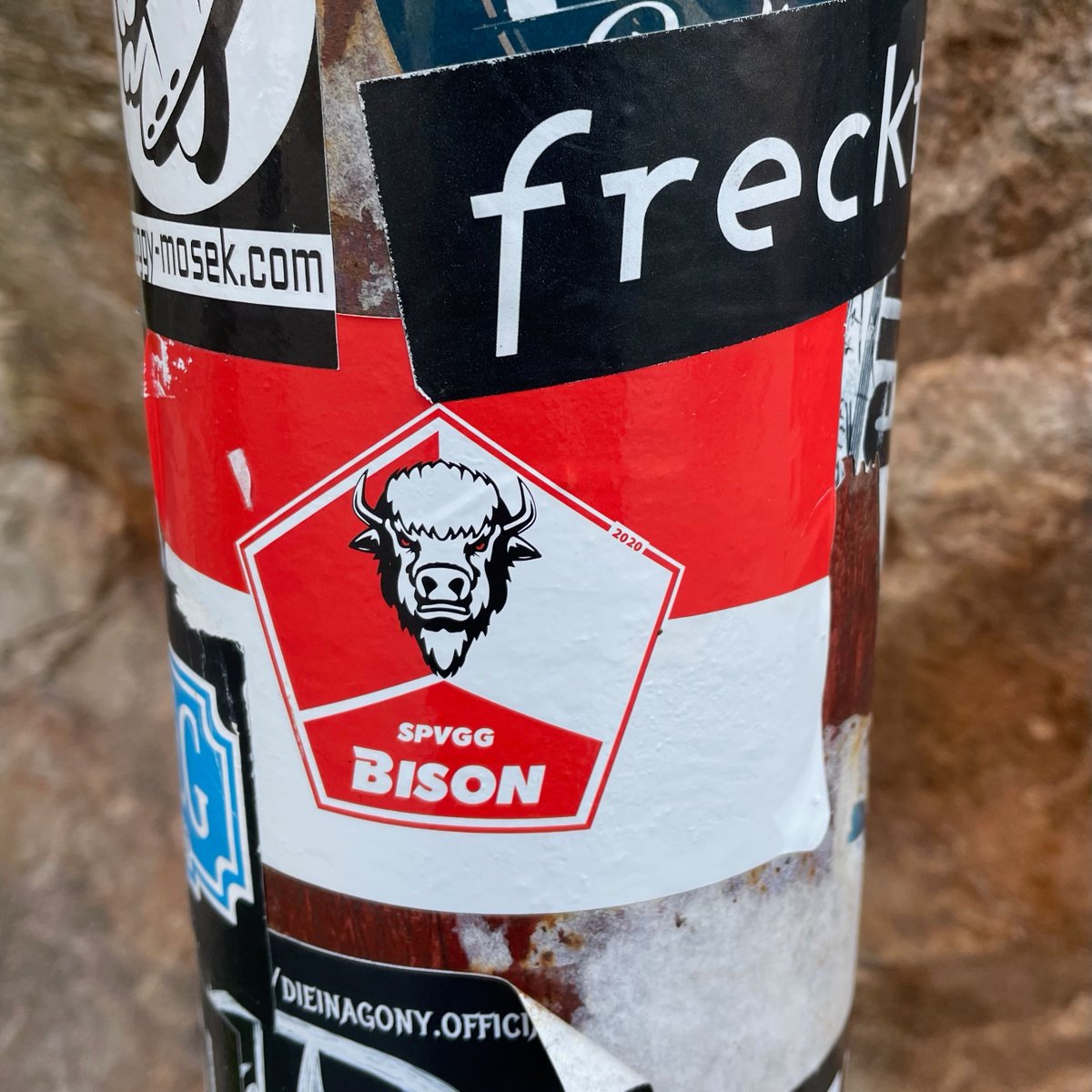 🇩🇪 SpVgg BISON 
#ultrasstickers #footballstickers #footballculture #Ultras #StickerHunting