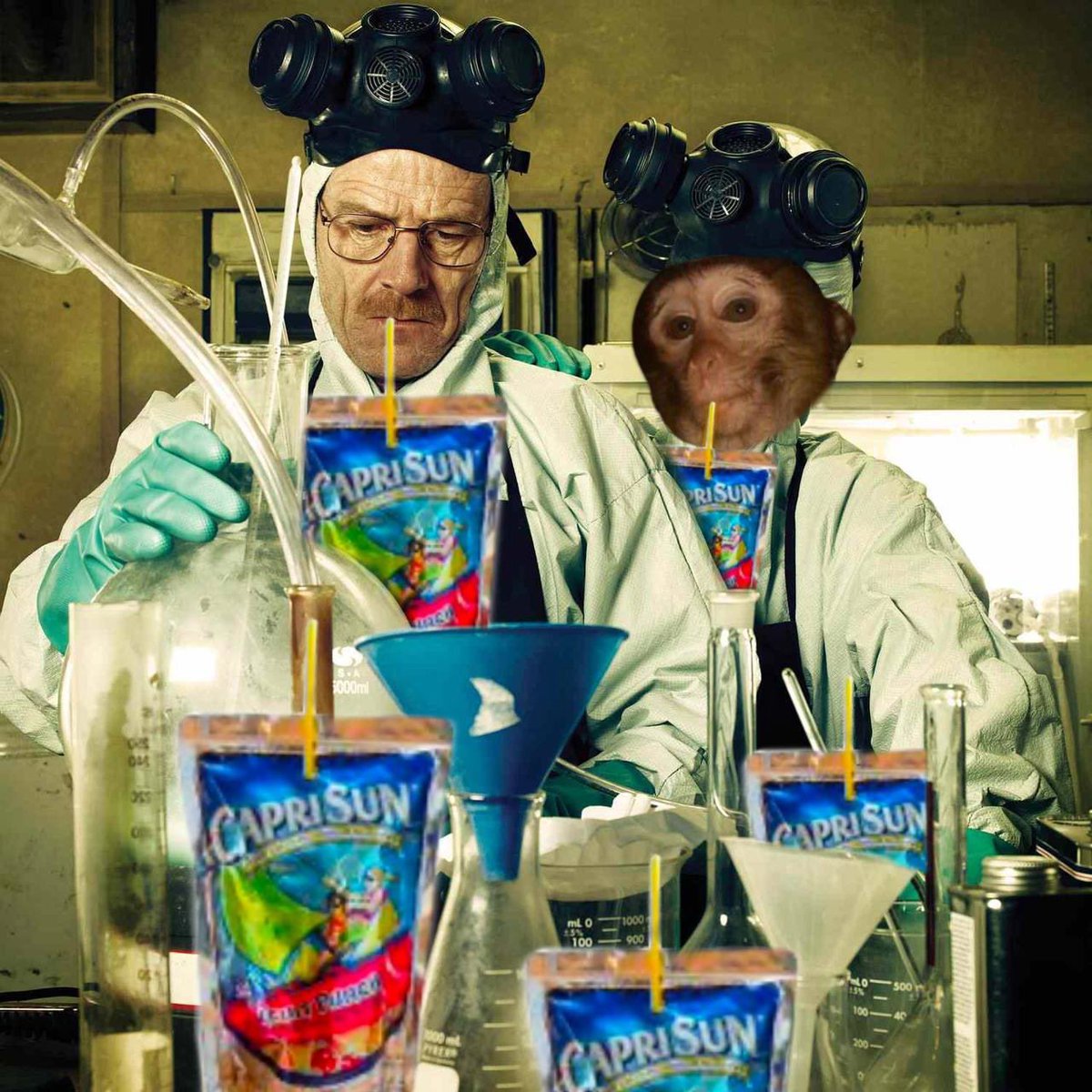 $CAPRI to the sun is confirmed 

It’s science, bitch