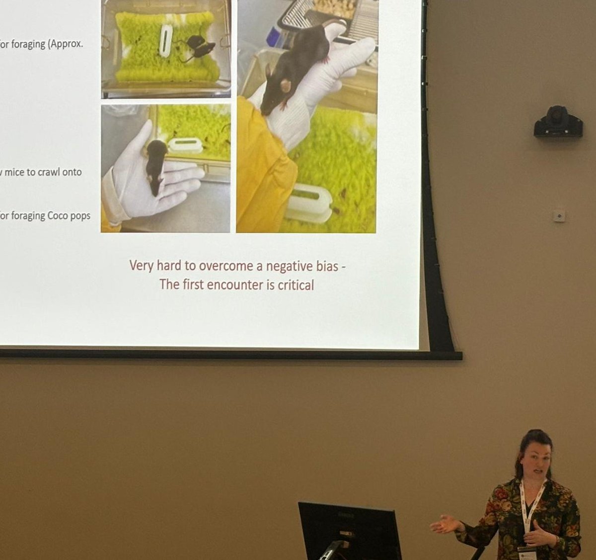 Dr Kate Connor (@katecscience) on Twitter photo Brilliant opportunity to speak about my refined protocols for in vivo wireless telemetry using scruffguards at the <a href="/InstAnimalTech/">Institute of Animal Technology</a> meeting in Dublin this week <a href="/DatesandGroup/">Datesand Ltd</a> <a href="/TCDPhysiology/">TCDPhysiology</a> #3Rs #braintumour #epilepsy Brilliant opportunity to speak about my refined protocols for in vivo wireless telemetry using scruffguards at the <a href="/InstAnimalTech/">Institute of Animal Technology</a> meeting in Dublin this week <a href="/DatesandGroup/">Datesand Ltd</a> <a href="/TCDPhysiology/">TCDPhysiology</a> #3Rs #braintumour #epilepsy