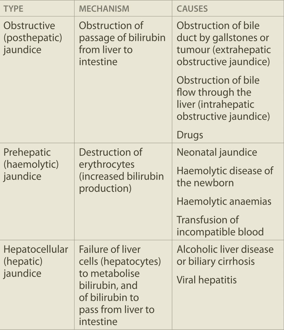 Common types of jaundice👇