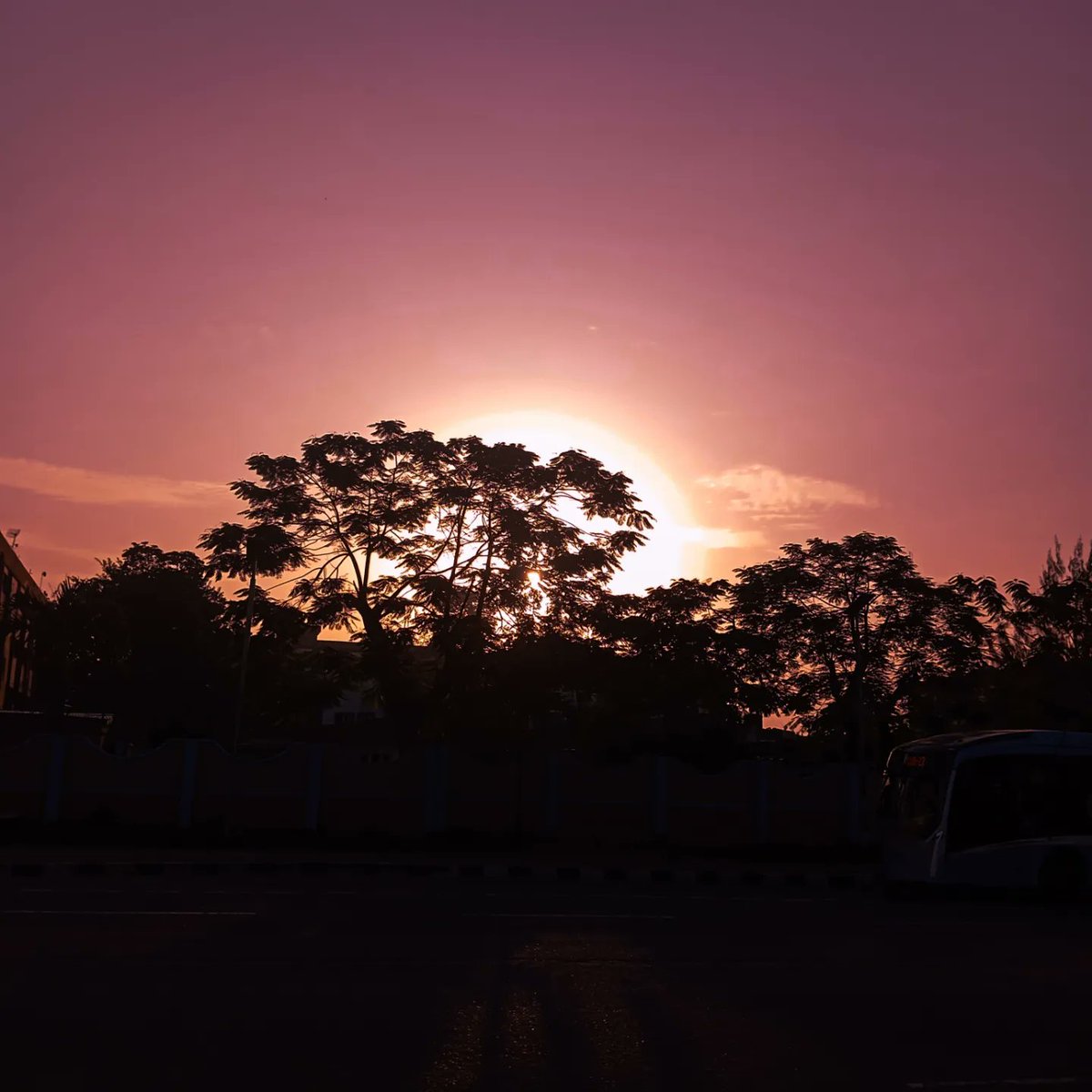 aclear_shot's tweet photo. I caught the beauty while I was walking along ICM. Had to capture it. What do you think, pls do like ❤️, comments and repost.
It cost $0.00

Shot on @XiaomiNigeria Redmi13c
#aclearshot #mobilephotography #nature #NaturePhotograhpy #naturescenery #naturelovers #sunrise #lightroom https://t.co/pwsGYW3po0