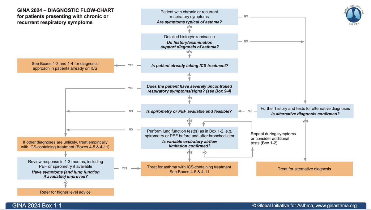 The 2024 GINA diagnostic flowchart for clinical practice has been revised.  Many health professionals don’t have access (or timely access) to spirometry. While less reliable than spirometry peak expiratory flow is better than relying on symptoms alone. ginasthma.org/reports
